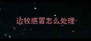 边牧感冒怎么处理