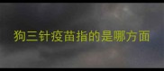 狗三针疫苗指的是哪方面