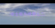 哈士奇为啥那么二