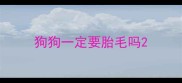 狗狗一定要胎毛吗