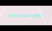 狗狗打疫苗以后便秘