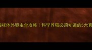猫咪体外驱虫全攻略科学养猫必须知道的5大真相