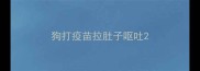 狗打疫苗拉肚子呕吐