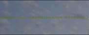 狗狗眼睛发白怎么办5大常见病因与科学治疗指南附日常护理技巧