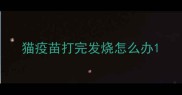 猫疫苗打完发烧怎么办