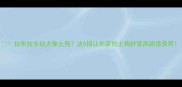 拉布拉多幼犬像土狗这5招让你家假土狗秒变高颜值贵宾