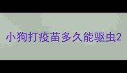 小狗打疫苗多久能驱虫