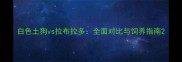 白色土狗vs拉布拉多全面对比与饲养指南