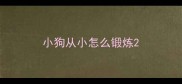 小狗从小怎么锻炼