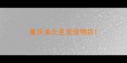 重庆渝北圣宠宠物店