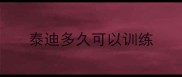 泰迪多久可以训练