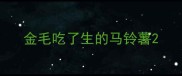 金毛吃了生的马铃薯