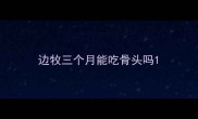 边牧三个月能吃骨头吗