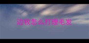 边牧怎么打理毛发