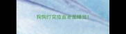 狗狗打完疫苗老是睡觉
