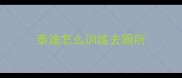 泰迪怎么训练去厕所