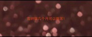 雪纳瑞几个月可以裁耳