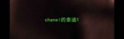chanel的泰迪