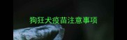 狗狂犬疫苗注意事项