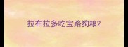 拉布拉多吃宝路狗粮