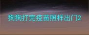 狗狗打完疫苗照样出门