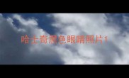 哈士奇黑色眼睛照片