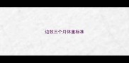 边牧三个月体重标准