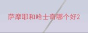 萨摩耶和哈士奇哪个好