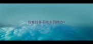 拉布拉多不吃东西咋办