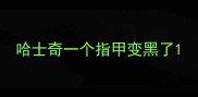 哈士奇一个指甲变黑了