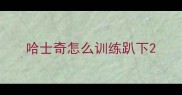 哈士奇怎么训练趴下