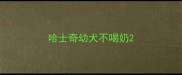 哈士奇幼犬不喝奶