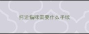托运猫咪需要什么手续