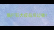 猫打狂犬疫苗后过敏