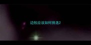 边牧应该如何挑选
