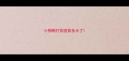 小狗刚打完疫苗多大了