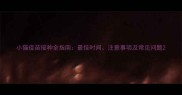 小猫疫苗接种全指南最佳时间注意事项及常见问题