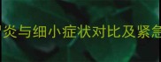 拉布拉多胃炎与细小症状对比及紧急处理指南