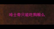 哈士奇只能吃狗粮么
