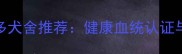 上海黑色拉布拉多犬舍推荐健康血统认证与疫苗接种全指南