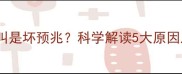 狗狗突然嚎叫是坏预兆科学解读5大原因及应对指南