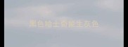 黑色哈士奇能生灰色