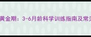 哈士奇训练黄金期3-6月龄科学训练指南及常见误区纠正