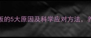 哈士奇刨地板的5大原因及科学应对方法养宠人必看