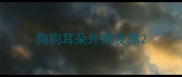 狗狗耳朵外侧发黑