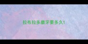 拉布拉多磨牙要多久