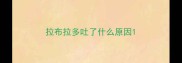 拉布拉多吐了什么原因