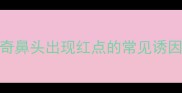 哈士奇鼻头出现红点的常见诱因分析