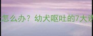 三个月幼犬频繁呕吐怎么办幼犬呕吐的7大诱因与专业应对指南