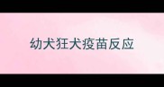幼犬狂犬疫苗反应